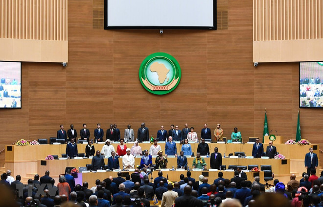 Ai Cập: Dịch COVID-19 không cản trở lộ trình nghị sự châu Phi ảnh 1