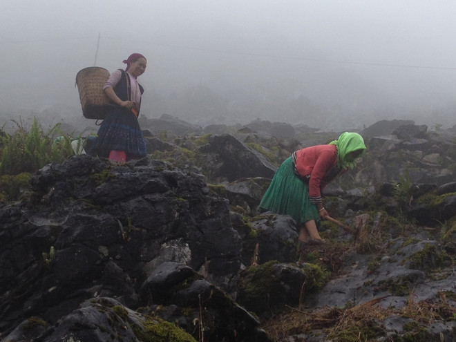 Nhọc nhằn bảo tồn di sản, “cứu khát” Cao nguyên đá Đồng Văn ảnh 1