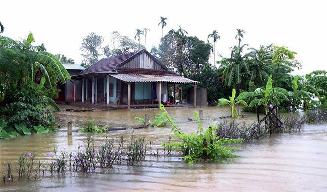 Mưa lớn diện rộng tại miền Trung: Đã có 9 người chết và bị thương ảnh 1