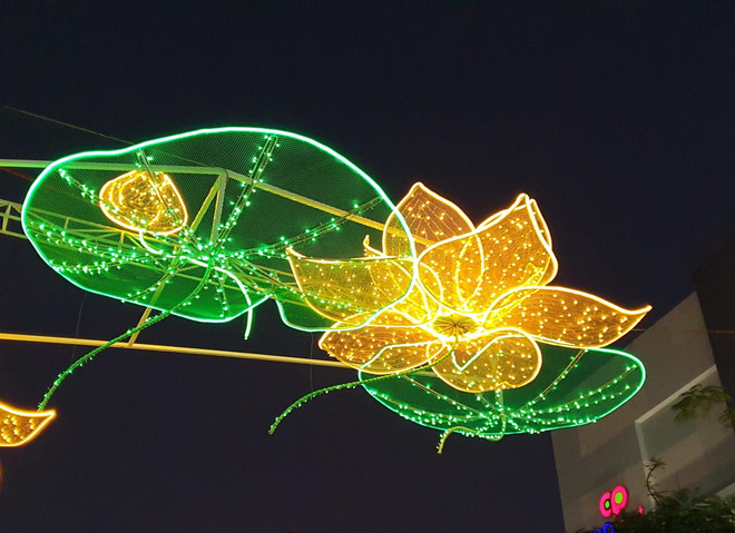 Cần Thơ không tổ chức đường hoa nhân dịp Tết Nhâm Dần 2022 ảnh 1