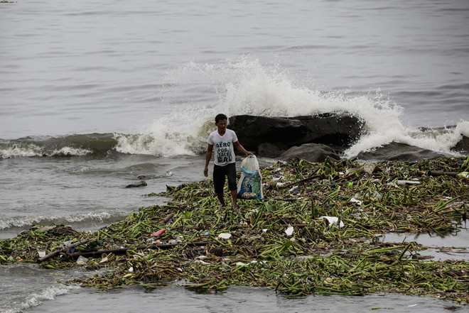 Philippines: Bão Sarika đổ bộ vào đảo Luzon làm 2 người chết ảnh 1