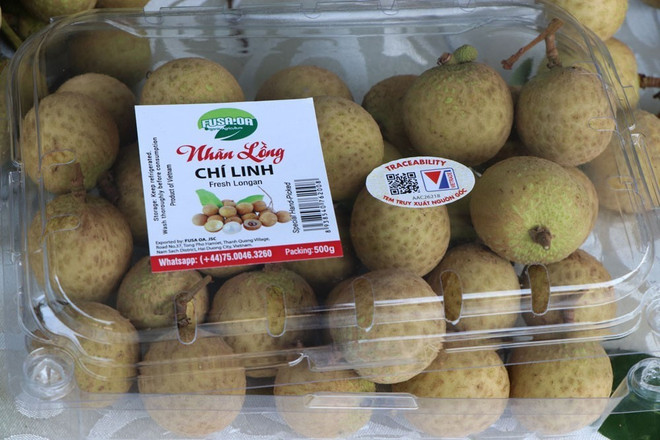 Tỉnh Hải Dương mở vườn thu hái nhãn xuất khẩu năm 2021 ảnh 1