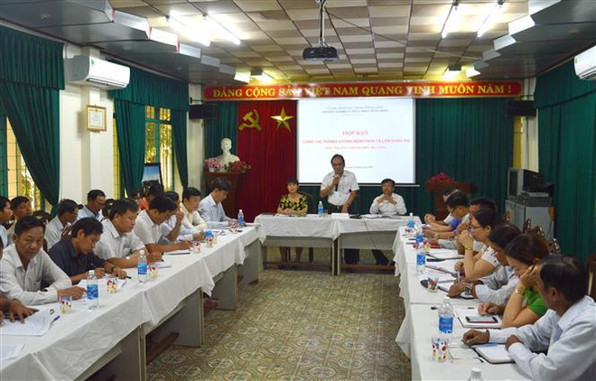 Đà Nẵng họp khẩn ngăn chặn dịch tả lợn châu Phi lây lan ảnh 1