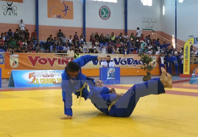 Gần 80 vận động viên dự Giải vô địch Vovinam châu Âu ở Thụy Sĩ ảnh 1