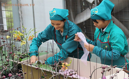 Hoạt động tại HTX Đan Hoài. (Nguồn: dulichdanphuong.com) Hành trình xây dựng nông thôn mới Hà Nội: Tư duy mới trong nông nghiệp ảnh 1