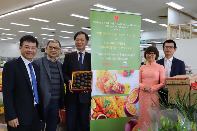 Thúc đẩy đầu tư, thương mại Việt Nam-Australia lên tầm cao mới ảnh 3