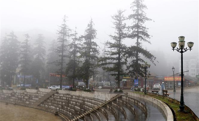 Lào Cai: "Rét nàng Bân" khiến nhiệt độ tại Sa Pa xuống thấp 10,5 độ C ảnh 1