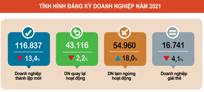 Cả nước có 117.000 doanh nghiệp đăng ký thành lập mới trong năm 2021 ảnh 2