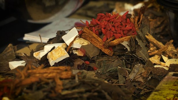 Hà Nội: Gìn giữ tri thức làm thuốc nam của người Dao huyện Ba Vì ảnh 1