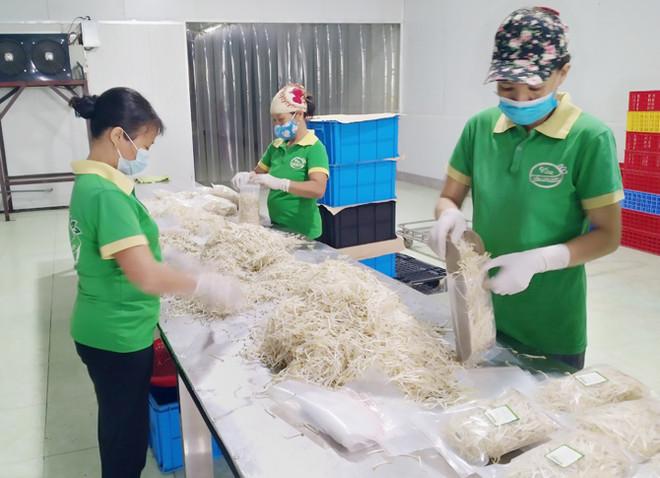 Nhờ được hỗ trợ bảo hộ thương hiệu sản phẩm từ chương trình khuyến công, hợp tác xã rau an toàn VISA ở Vĩnh Phúc sản xuất ổn định, sản phẩm được người dân tin dùng. (Nguồn: vinhphuc.gov.vn) Vĩnh Phúc tạo lợi thế cạnh tranh cho sản phẩm công nghiệp nông thôn ảnh 2