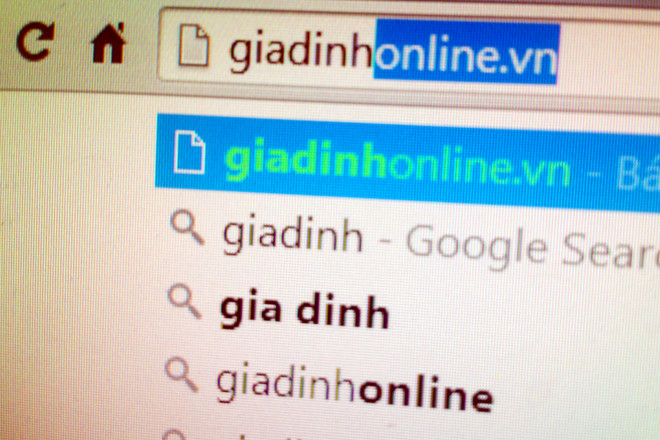 Phạt nặng, tịch thu tên miền của Báo điện tử Gia đình Việt Nam ảnh 1