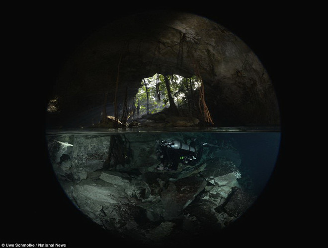 Những bức ảnh tuyệt đẹp "đáng kinh ngạc" dưới nước ảnh 16