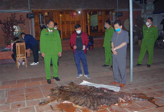 Thái Nguyên: Phát hiện vụ giết hổ nấu cao tại nhà Chủ tịch UBND xã ảnh 1