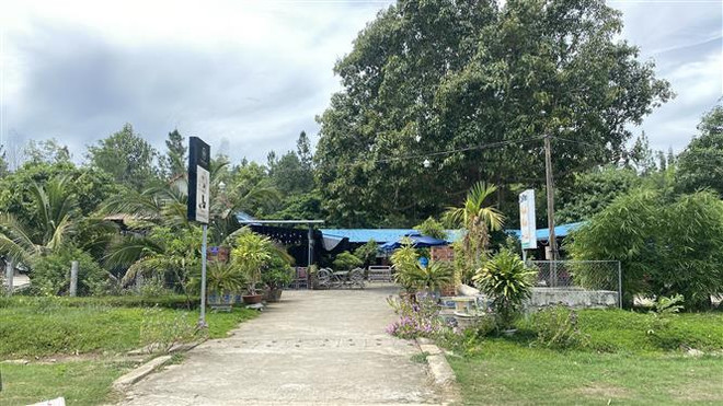 Bình Định: Thanh tra toàn bộ các vi phạm đất đai tại huyện Vĩnh Thạnh ảnh 2