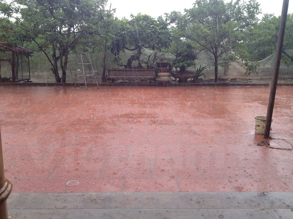 Không khí lạnh gây mưa rét và gió mạnh cho vùng núi Bắc Bộ ảnh 1