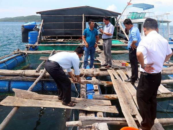 Nhiều lợi thế phát triển kinh tế biển ở Đồng bằng sông Cửu Long ảnh 1