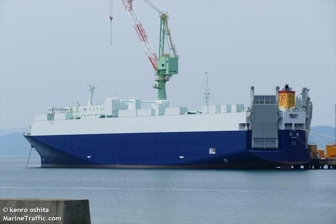 Tàu hàng Byakko của Nhật Bản. (Nguồn: marinetraffic.com) Tàu hàng Nhật Bản hơn 11.000 tấn bị lật sau va chạm với tàu nước ngoài ảnh 1