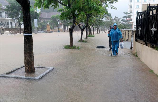 Các tỉnh, thành phố từ Đà Nẵng đến Bình Thuận có mưa vừa, mưa to ảnh 1