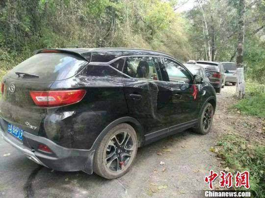 Con voi trốn thoát khỏi khu bảo tồn và làm loạn trên đường ảnh 4