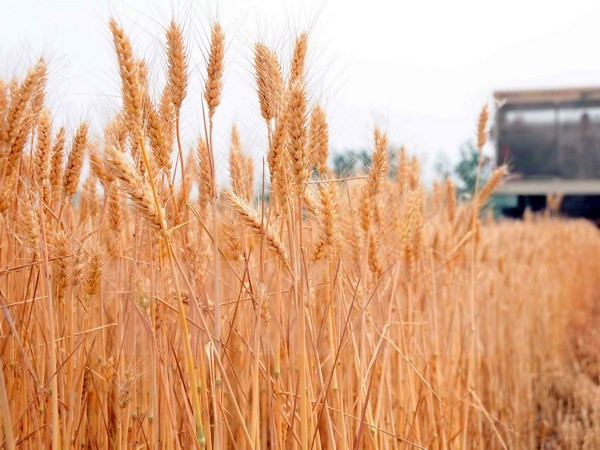 Israel và Nga xúc tiến ký kết thỏa thuận thương mại tự do ảnh 1