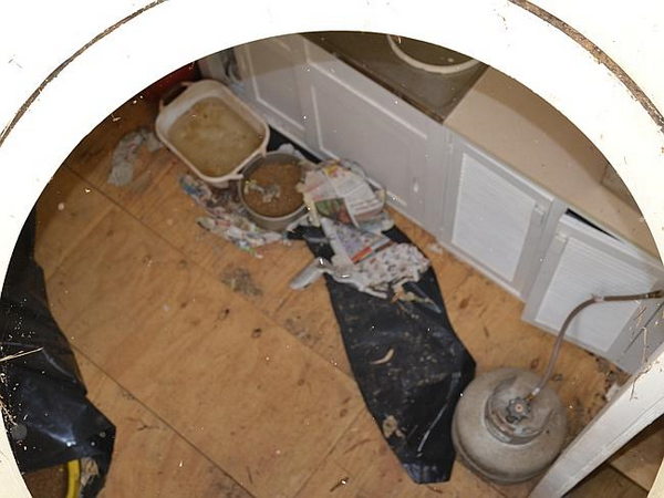 Ngược đãi thú cưng, một phụ nữ Australia bị phạt 11.000 AUD ảnh 2