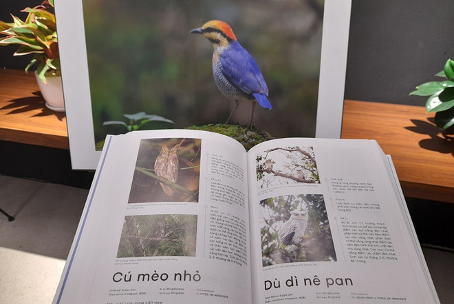 Ra mắt cuốn sách ảnh tư liệu hoàn thiện về các loài chim của Việt Nam ảnh 3