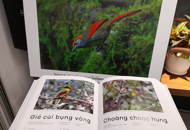 Ra mắt cuốn sách ảnh tư liệu hoàn thiện về các loài chim của Việt Nam ảnh 2