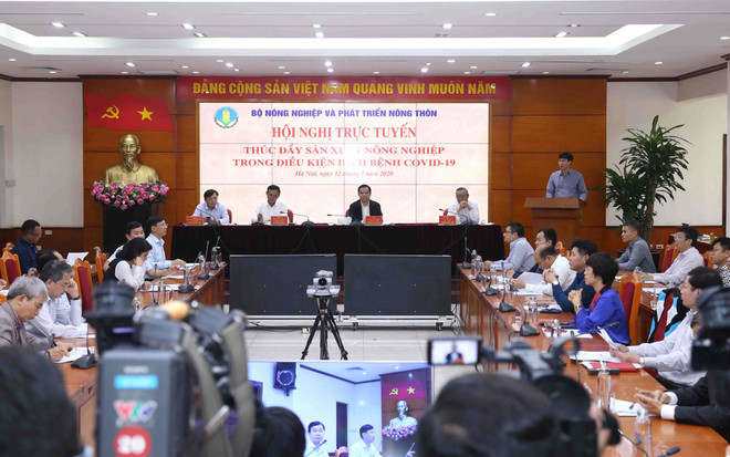 Thúc đẩy sản xuất nông nghiệp đảm bảo nhu cầu trong nước và xuất khẩu ảnh 1