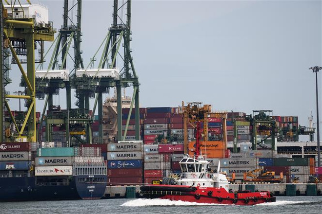 Các quốc gia thành viên đề cao giá trị của Hiệp định RCEP ảnh 2