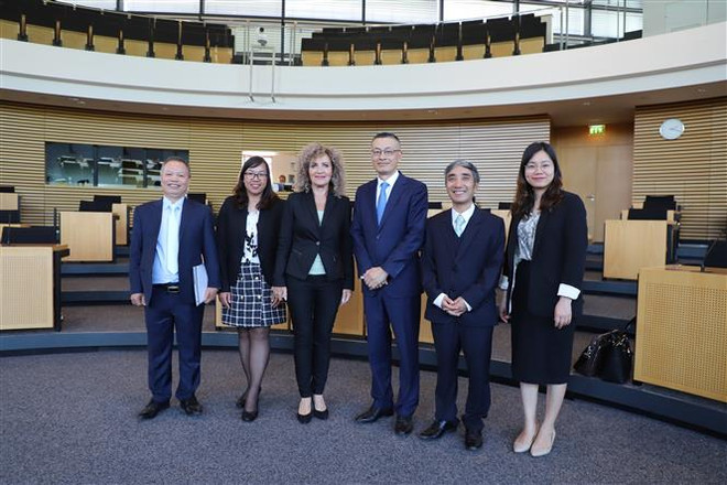 Việt Nam-Đức thúc đẩy hợp tác về nguồn nhân lực và đào tạo nghề ảnh 1