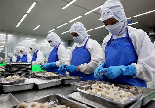 TP.HCM hoàn thành chi hỗ trợ người lao động bị ảnh hưởng bởi COVID-19​ ảnh 1