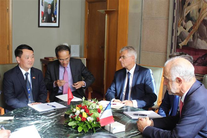 Việt Nam và Pháp tăng cường hợp tác trong lĩnh vực môi trường ảnh 1