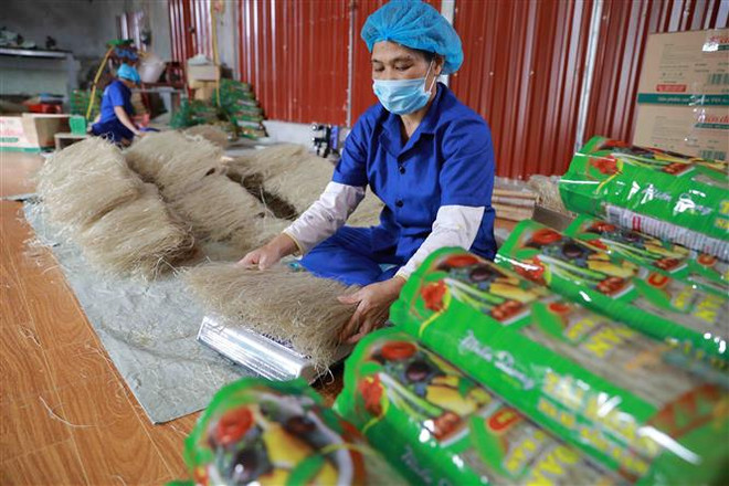 Miến dong - sản phẩm OCOP 4 sao đầu tiên của Bắc Kạn đã được xuất khẩu sang Cộng hòa Séc. (Ảnh: Vũ Sinh/TTXVN) Xung lực mới cho quan hệ hợp tác hữu nghị truyền thống Việt Nam-CH Séc ảnh 3