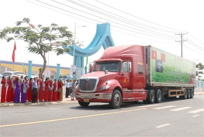 Chuyến xe chở lô hàng khoai lang chính ngạch đầu tiên xuất phát sang thị trường Trung Quốc. (Ảnh: Lê Thúy Hằng/TTXVN) Vĩnh Long: Lô khoai lang chính ngạch đầu tiên xuất sang Trung Quốc ảnh 2