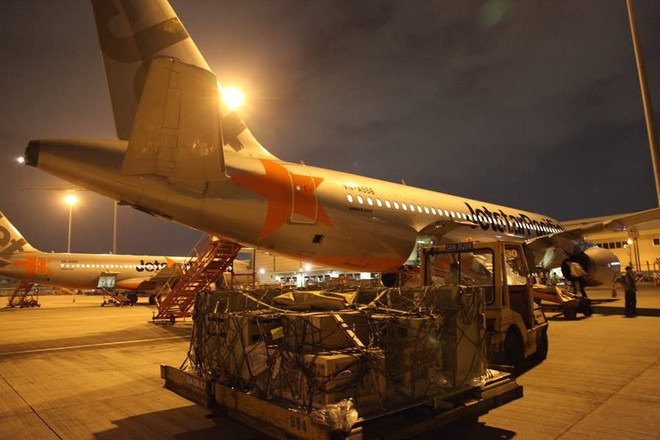 Chim trời bay “chuyên cơ” Jetstar Pacific ra đảo Phú Quốc ảnh 2