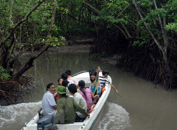 Du khách tham quan Rừng Sác, Cần Giờ . (Ảnh: Hoàng Hải/TTXVN) TP.HCM: Thí điểm tour du lịch 'bong bóng khép kín' ở Cần Giờ ảnh 1