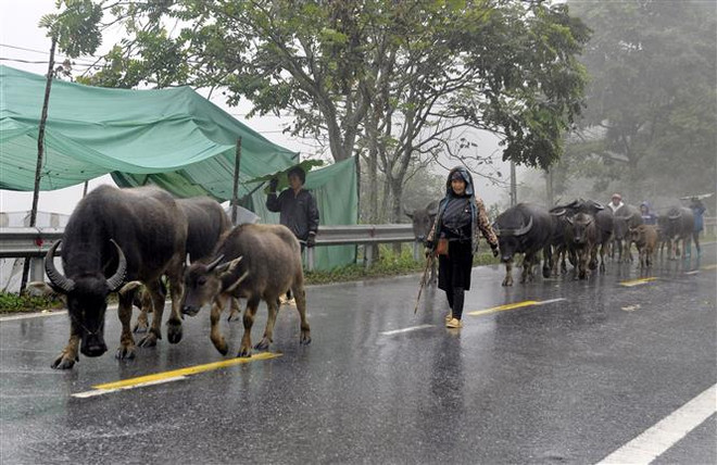 Đêm 30/12, Bắc Bộ tiếp tục rét đậm, vùng núi cao dưới 3 độ C ảnh 1