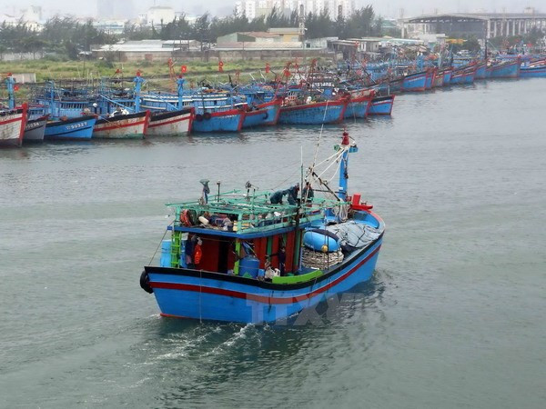 Ngư dân bị thương nặng do cáp văng vào đầu đã hồi phục sức khỏe ảnh 1