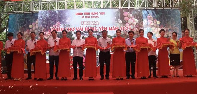 Chợ vải Hưng Yên năm 2023: Chất lượng quả ngon, tiêu thụ tốt ảnh 2