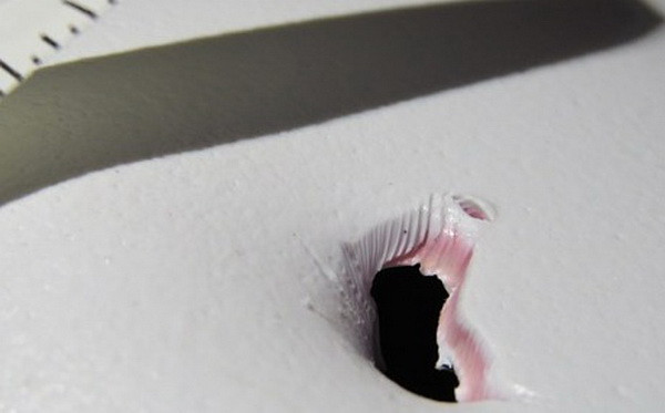 Cá mập trắng điên cuồng lao vào tấn công hai cô gái trẻ ảnh 2