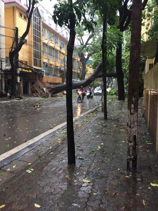 Áp thấp sẽ mạnh lên thành bão, tái diễn mưa lớn tại Bắc Bộ ảnh 1