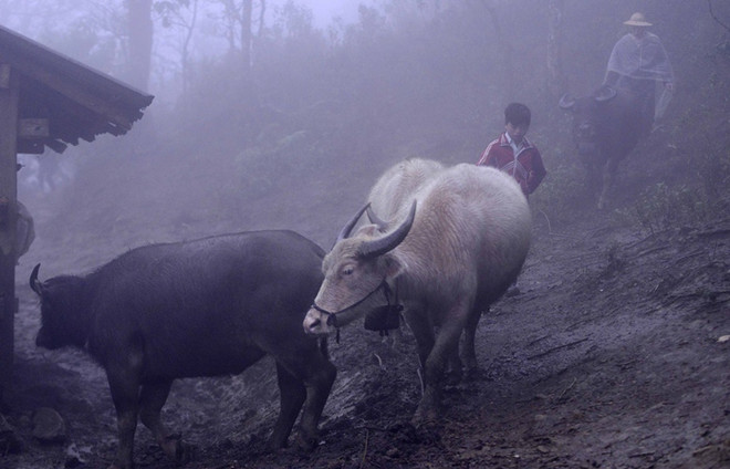 Không khí lạnh tăng cường, vùng núi có nơi dưới 11 độ C ảnh 1