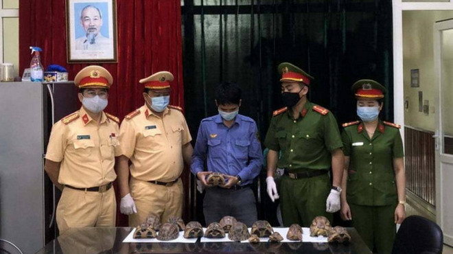 Bắt giữ nhân viên đường sắt vận chuyển 17 cá thể rùa quý hiếm ảnh 1