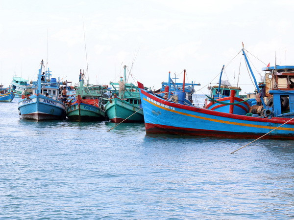 Tàu cá neo đậu tại cảng. (Ảnh minh họa: Lê Sen/TTXVN) Hải quân Malaysia bắt một tàu cá cùng 12 ngư dân Việt Nam ảnh 1