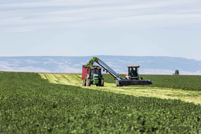 Bên trong nông trại hữu cơ làm nên thương hiệu sản phẩm Amway ảnh 1