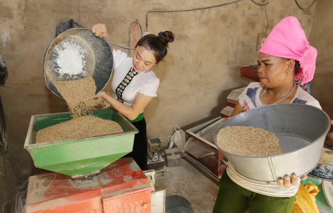 Ảnh minh họa. (Nguồn: TTXVN) Ứng dụng khoa học công nghệ phát triển kinh tế vùng dân tộc thiểu số ảnh 1
