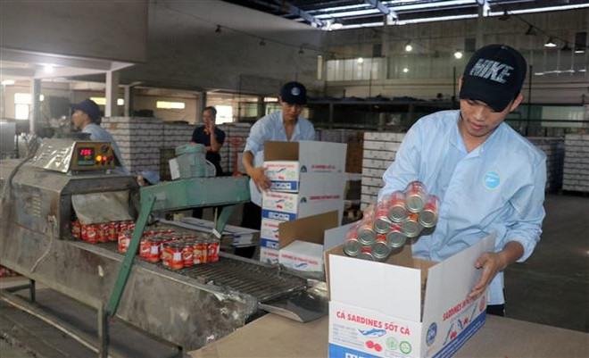 Chế biến cá hộp xuất khẩu tại Khu công nghiệp Cảng cá Tắc Cậu, xã Bình An, huyện Châu Thành (Kiên Giang). (Ảnh: Lê Huy Hải/TTXVN) Maybank Kim Eng đánh giá cao tốc độ phục hồi kinh tế của Việt Nam ảnh 1