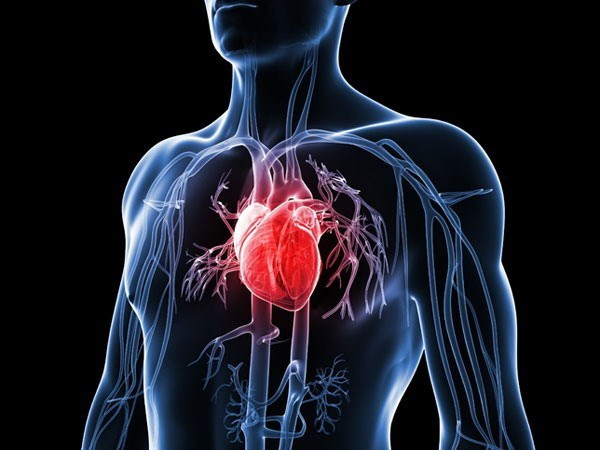 Điều trị sớm cholesterol cao giúp ngăn chặn nguy cơ bệnh tim, đột quỵ ảnh 1