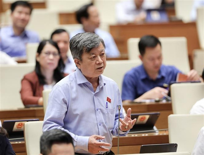 Đại biểu Quốc hội đã thể hiện sự quan tâm với công tác quy hoạch ảnh 2