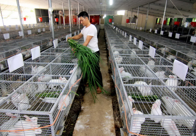 FAO: Kết quả xóa đói giảm nghèo của Việt Nam sẽ còn tốt hơn nữa ảnh 2